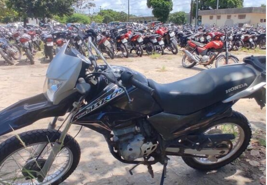 reprodução